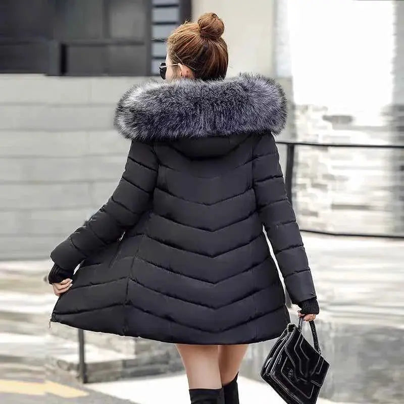 Arrival Slim Women Winter Cotton Jacket For Cozy Warmth And Modern Style By TeenStylo