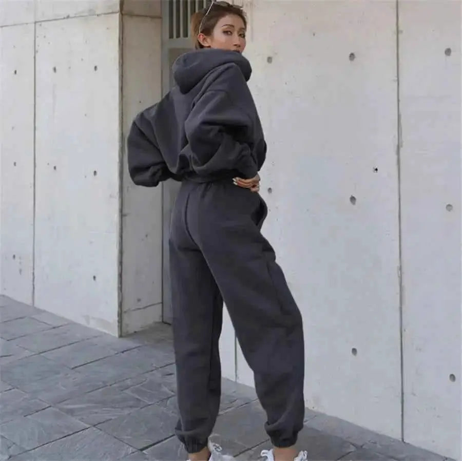 Women Two Piece Hoodie Tracksuit Set Solid Color Sweatshirt Pants For Autumn Winter 2024