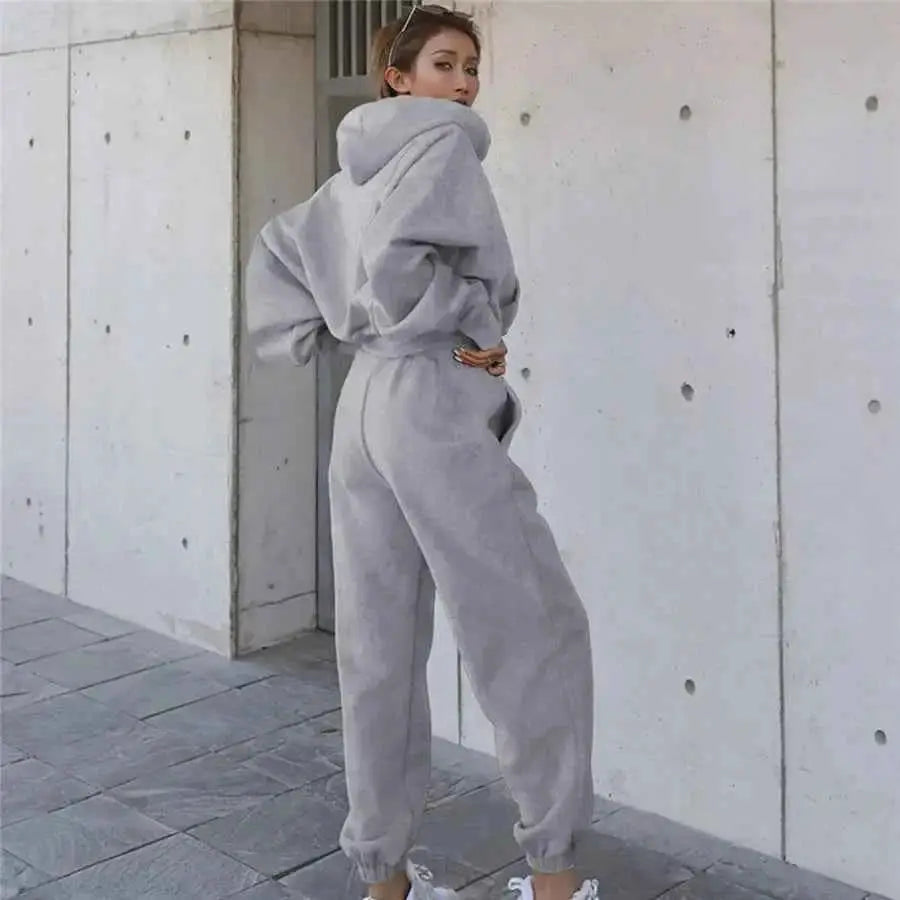 Women Two Piece Hoodie Tracksuit Set Solid Color Sweatshirt Pants For Autumn Winter 2024