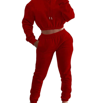Women Autumn Winter Fleece Crop Top Hoodie Sweatshirt And Sweatpants Tracksuit 2 Piece Jogger Set Sweatsuit
