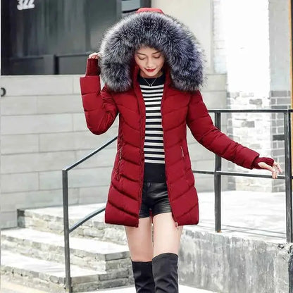 Arrival Slim Women Winter Cotton Jacket For Cozy Warmth And Modern Style By TeenStylo